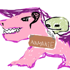 namaniedragoon avatar