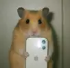 jdss77 avatar