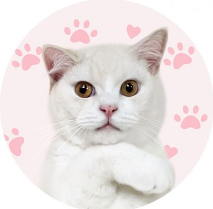 kmj87990 avatar