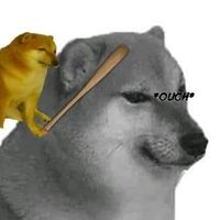 20888689 avatar