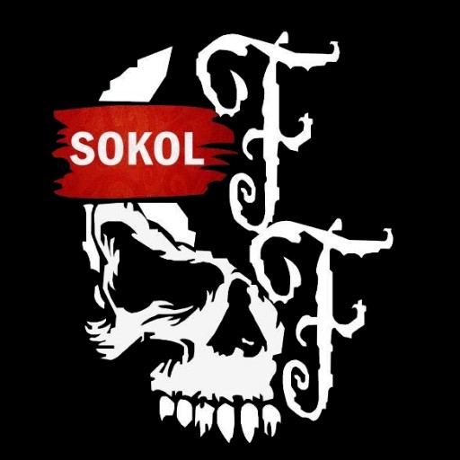 FF-SOKOL avatar