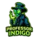 professor-indigo