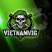 vietnamvig avatar