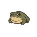 meeptoad avatar