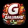galliband