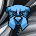 remdog avatar