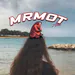 mrmot avatar