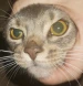 vozduh_og avatar