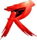 redowsku avatar
