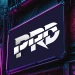 prdgg avatar