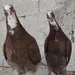 batinakdeniz avatar