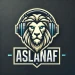 aslanaf avatar