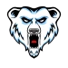 polarbearswears avatar