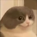 nuvia avatar