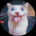 satio avatar