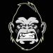 kongsw avatar
