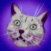 koshchka-tv avatar