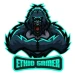 ethio-gamer avatar