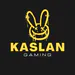kaslan99 avatar