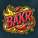 spicy1bakr avatar