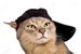 mernuell avatar