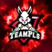 teampls avatar