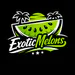 exoticmelons avatar