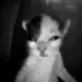 vkusnoo avatar
