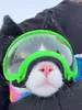cariwp avatar