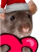 hyperrattv avatar