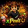 xpadi