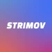 strimov avatar