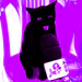kksaiko avatar