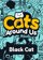Cats Around Us: Black Cat