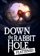 Down the Rabbit Hole Flattened