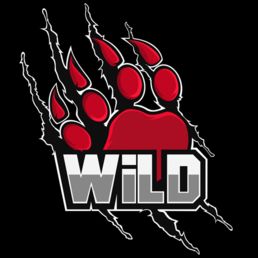 WiLD MultiGaming