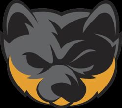 CYBERSABLE eSports (CS2)