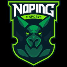 NoPing E-Sports (Smite)