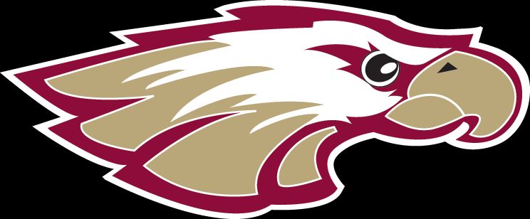 RMU Eagles