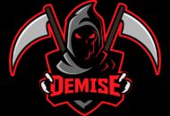 Demise