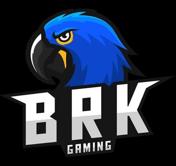 Brazilian Killers Gaming (PUBG)