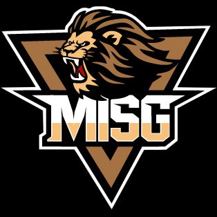 MiSG (CS2)