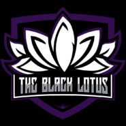 The Black Lotus