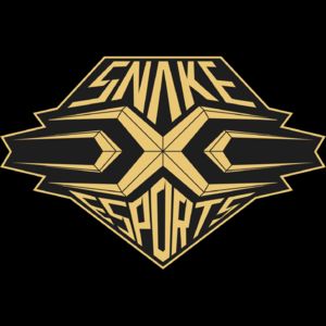 Snake Esports