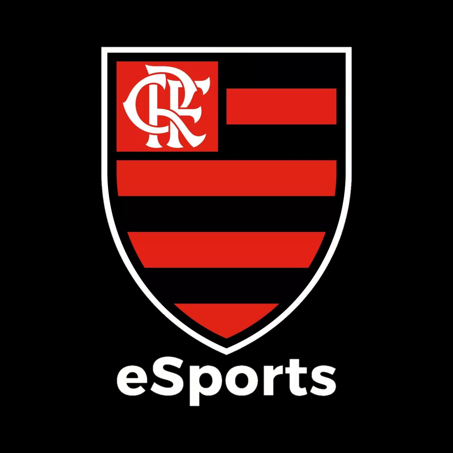 Flamengo Academy
