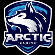 Arctic Gaming