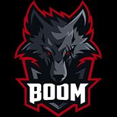 Boom Esports (CoD:M)