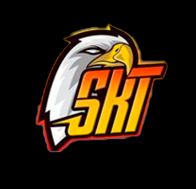 Team SKT (AoV)