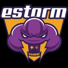 E-STORM (Valorant)