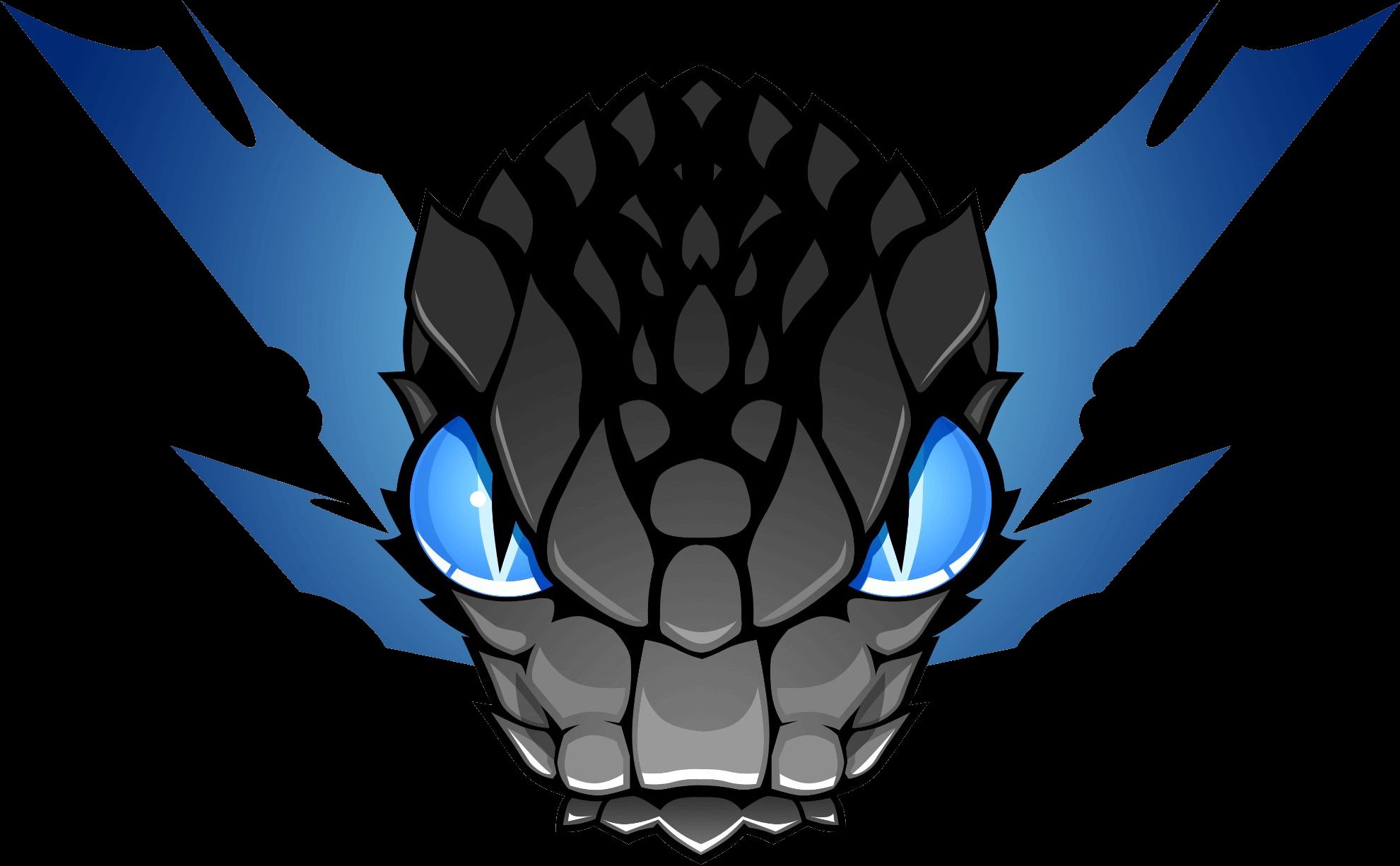 Atheris Esports (Valorant)